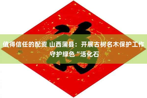 值得信任的配资 山西蒲县：开展古树名木保护工作 守护绿色“活化石
